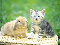 �C���[�W01