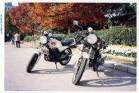 �C���[�W01